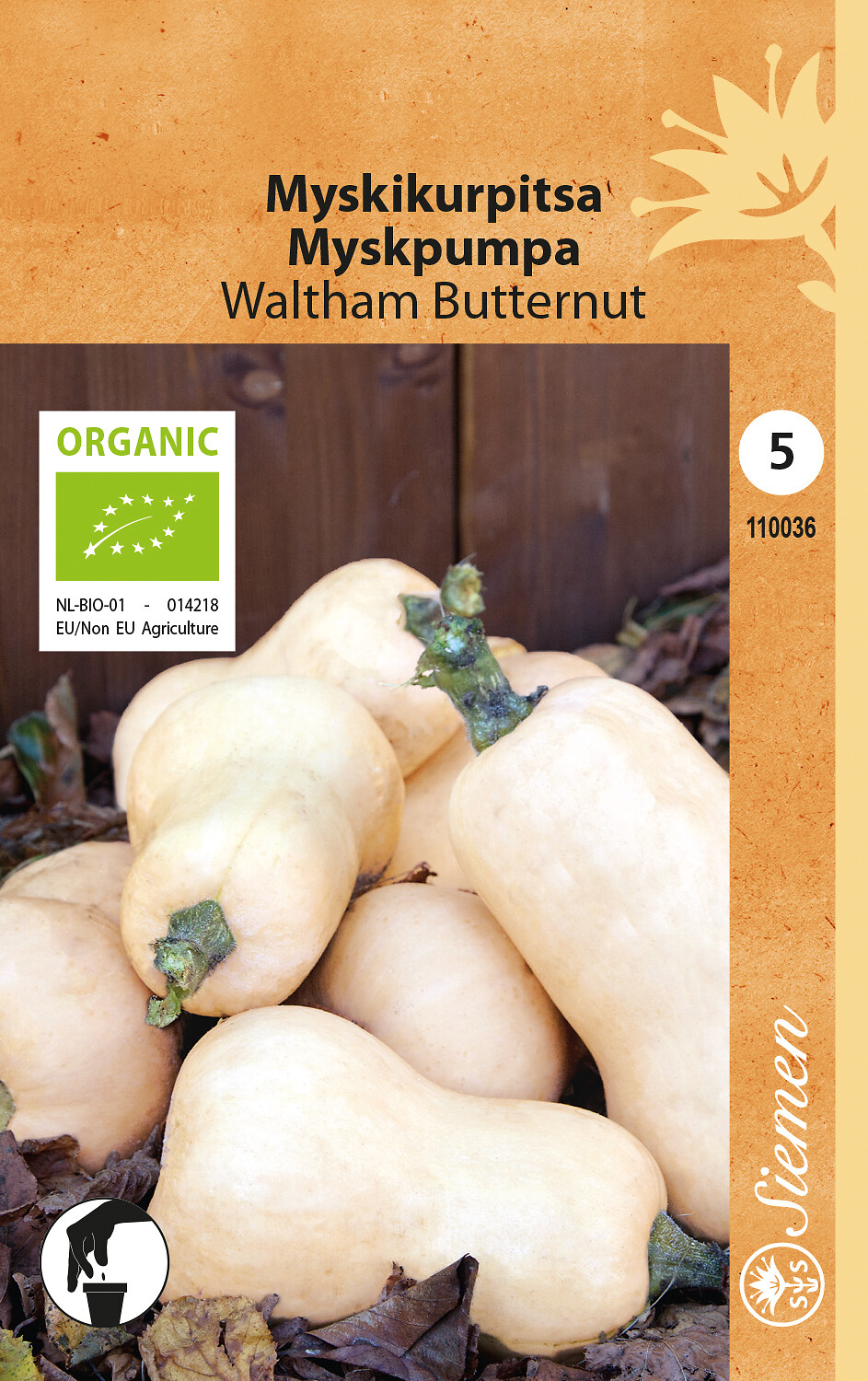 Myskikurpitsa ’Waltham Butternut’ luomusiemen