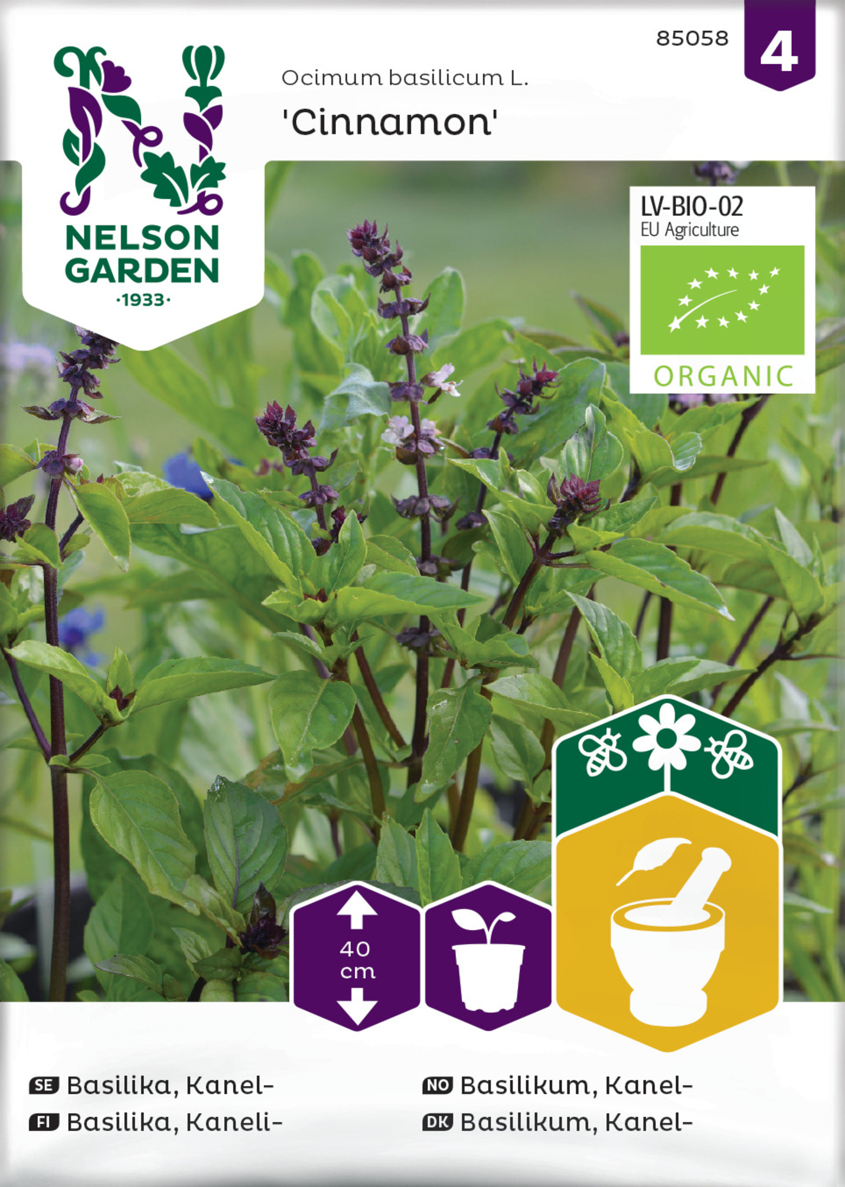 Kanelibasilika ’Cinnamon’ luomusiemen