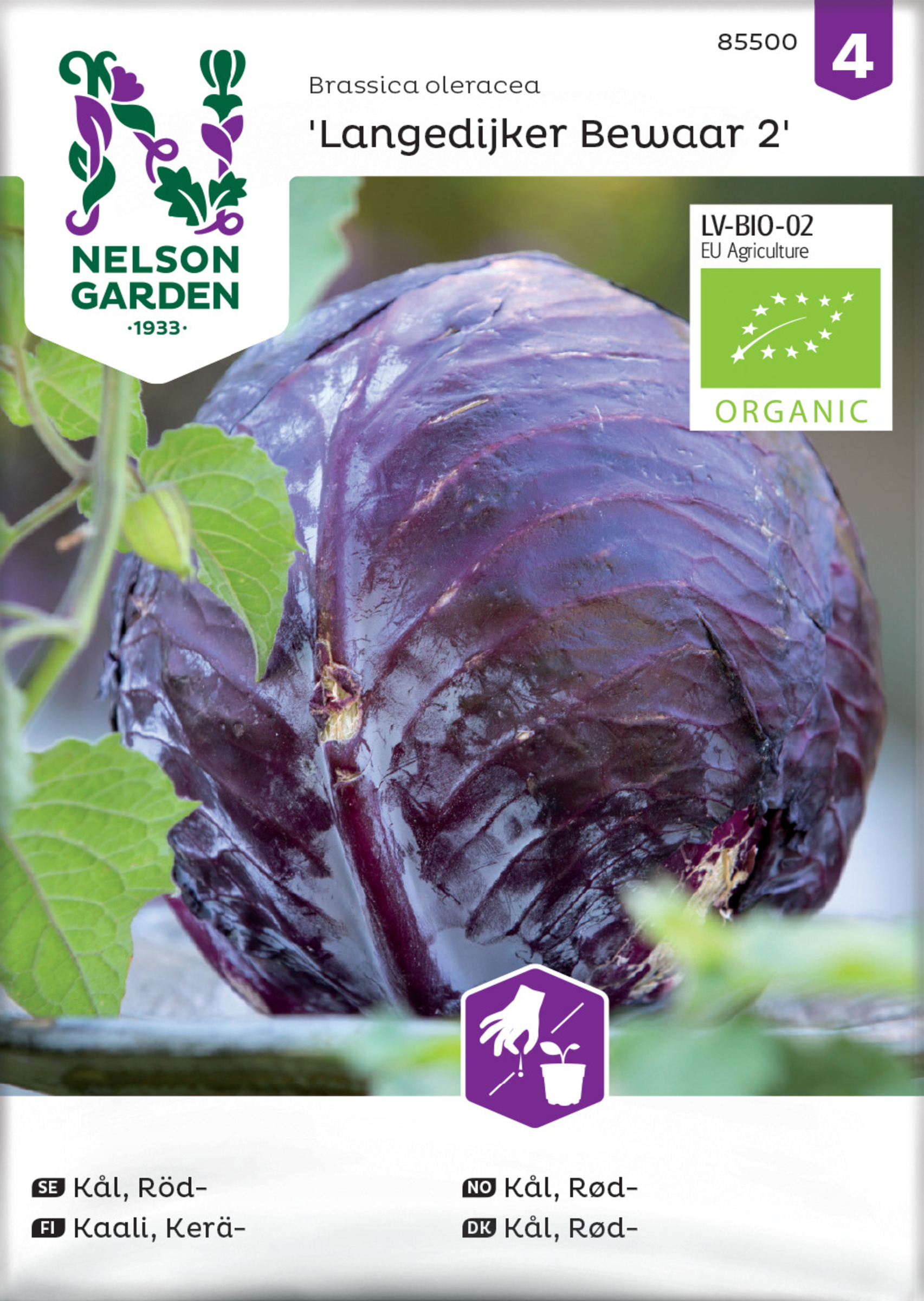 Keräkaali ’Langedijker Bewaar 2’ luomusiemen