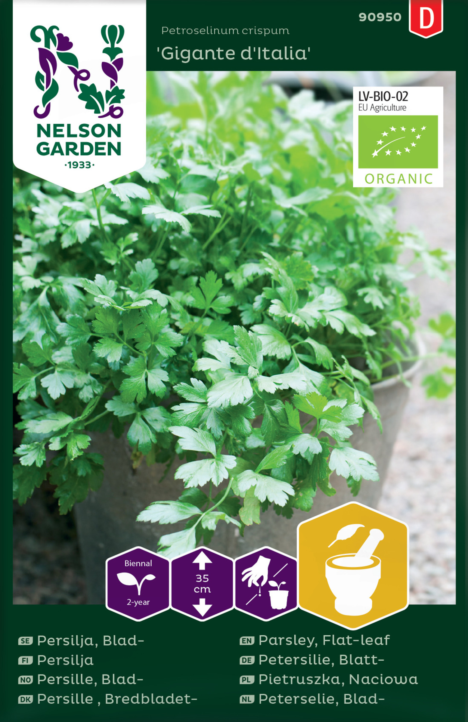 Persilja ’Gigante d’Italia’ luomusiemen