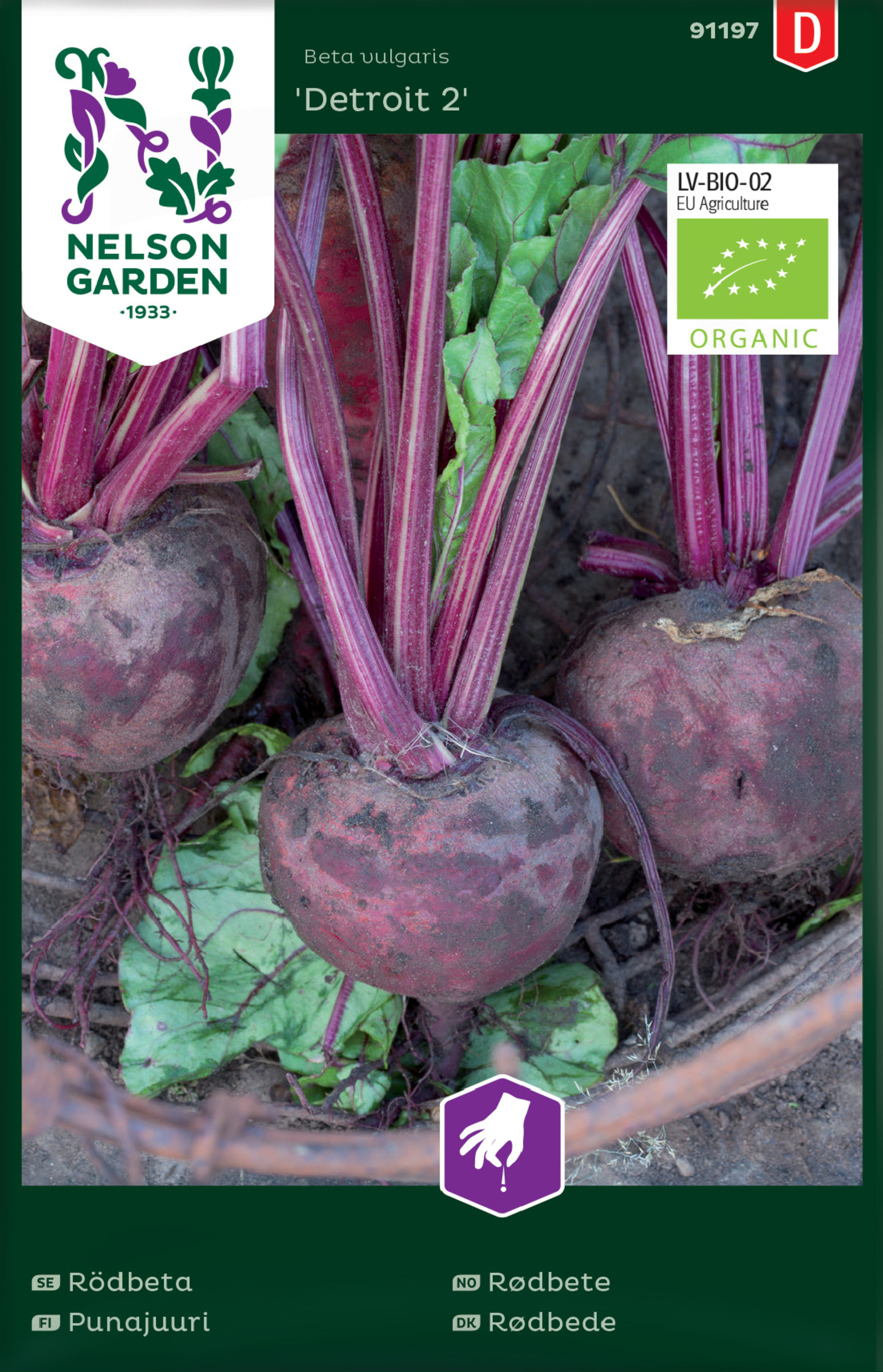 Punajuurikas ’Detroit 2’ luomusiemen